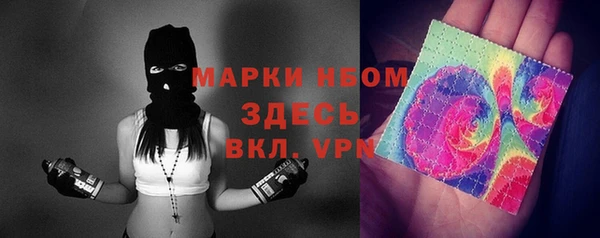 PSILOCYBIN Ельня