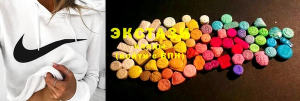 PSILOCYBIN Ельня