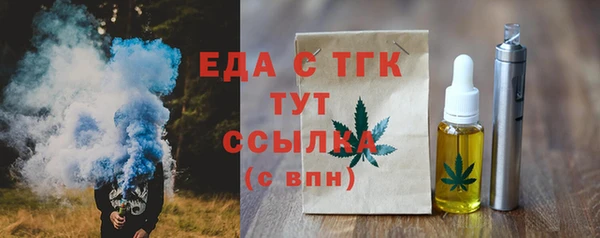PSILOCYBIN Ельня