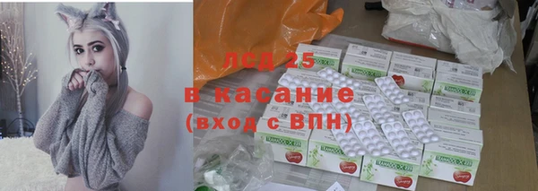 PSILOCYBIN Ельня