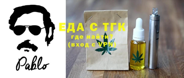 PSILOCYBIN Ельня