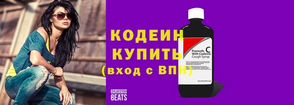 хмурый Елабуга