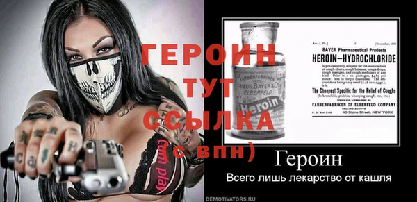 PSILOCYBIN Ельня