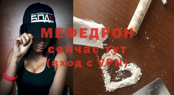 PSILOCYBIN Ельня